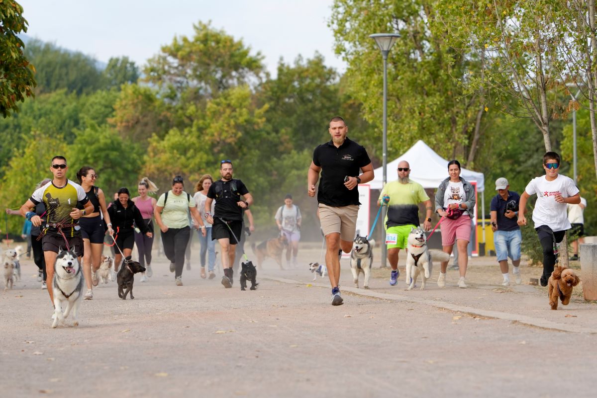 Над 380 кучета и техните стопани превзеха София в празничното бягане с Purina и „Нестле за Живей Активно!“